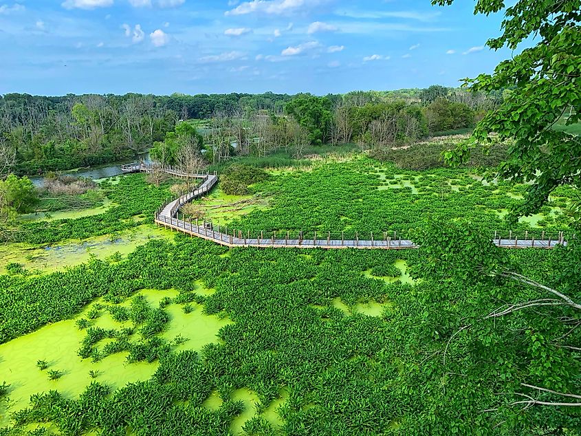 Galien River County Park, Buffalo, Michigan