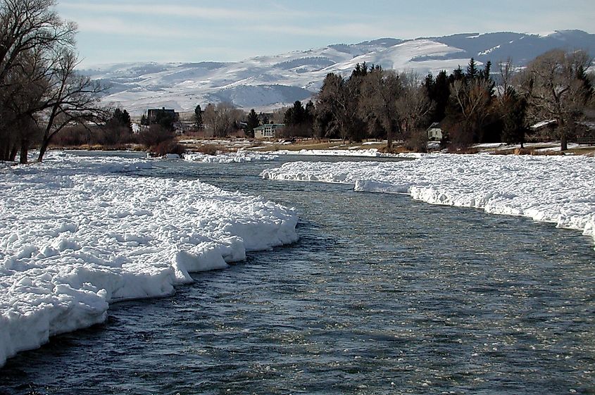 Madison River at Ennis.