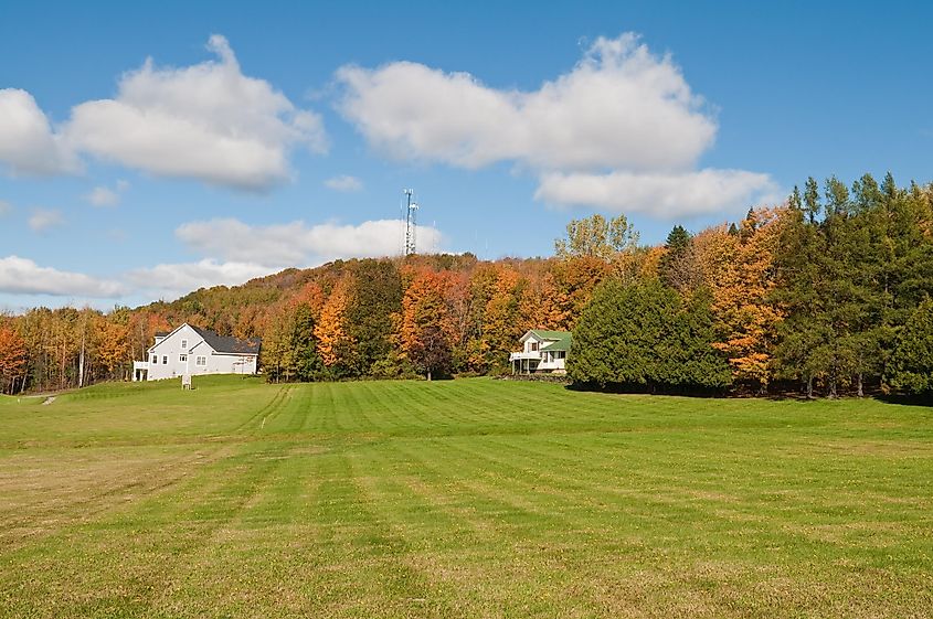 Autumn landscape of a field and woods in St. Albans, Vermont, showcasing vibrant fall colors.
