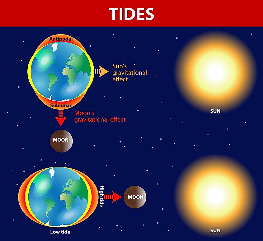 Gravitational forces exerted by the Moon and Sun on Earth