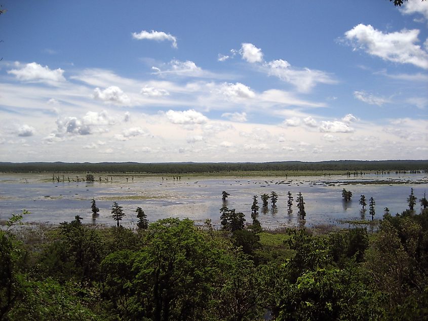 Mingo National Wildlife Refuge.