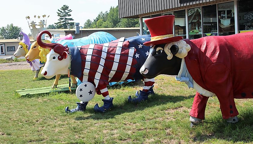 Patriotic cows in Minocqua, Wisconsin