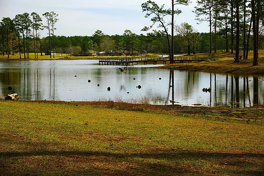 Sunrise at Paul B Johnson State Park, Mississippi.