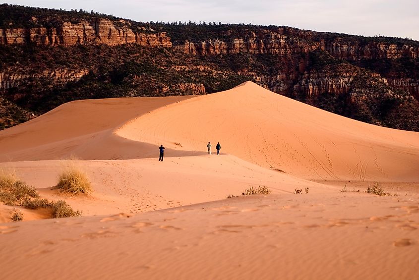A scene from the spectacular Coral Pink Sand Dunes State Park.