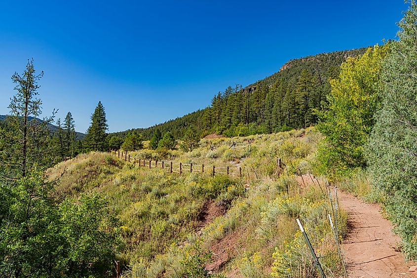 Morning view of the beautiful Valles Caldera National Preserve, New Mexico