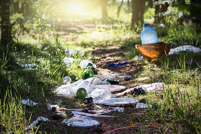What Are The Harmful Effects Of Soil Pollution? - WorldAtlas What Are The Harmful Effects Of Soil Pollution? - WorldAtlas