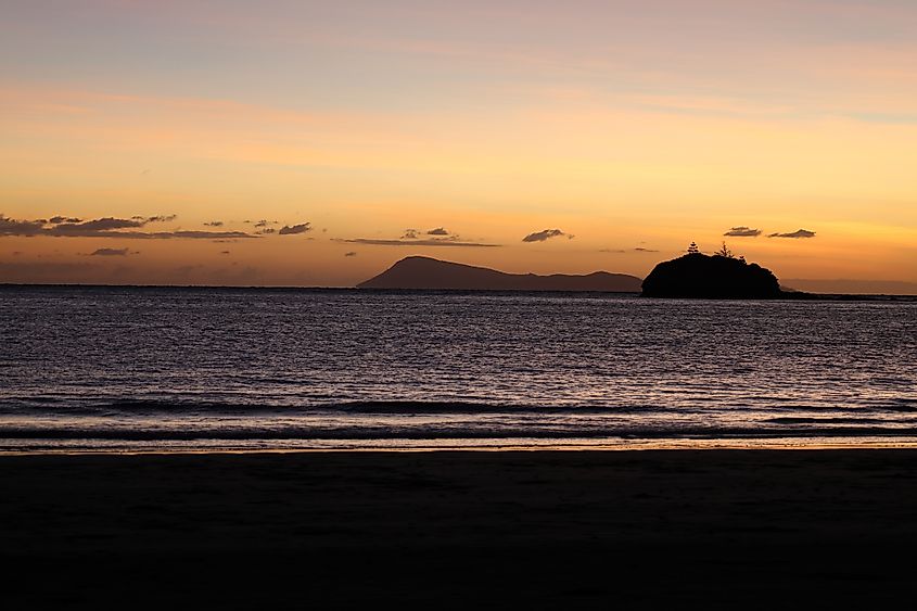 Cape Hillsborough National Park in the morning, Mackay Queensland, Australia.