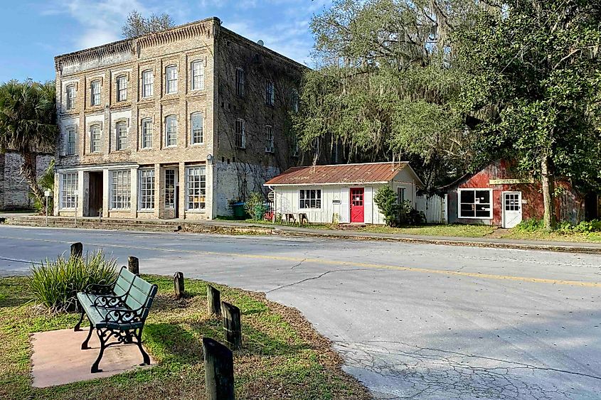  Micanopy Image credit Bryan Dearsley