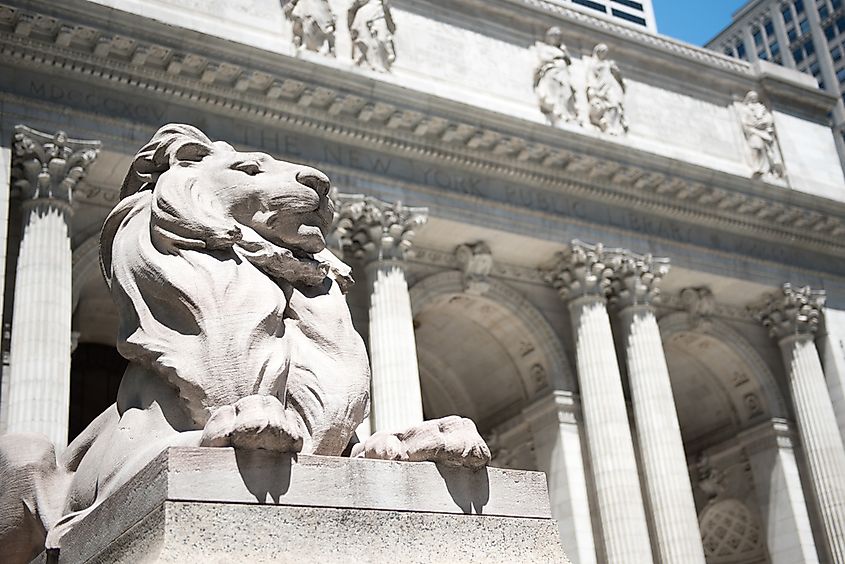 One of the marble lions outside the New York Public Library.