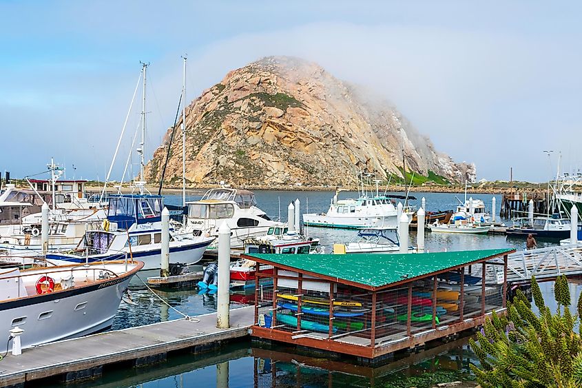 Sail boats and yachts docked at Morro Bay Marina, via Michael Vi / Shutterstock.com