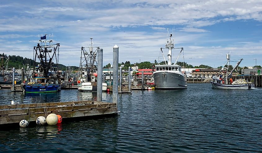 Fishing boats docked in boat harbor at Kodiak, Alaska