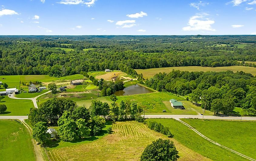Вид с высоты птичьего полета на зелень в Браунсвилле, штат Кентукки через https://www.landandfarm.com/