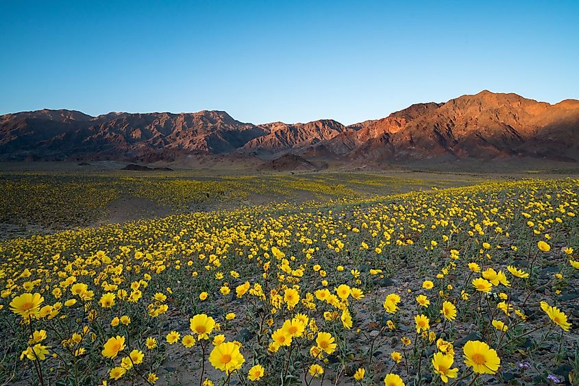 Death Valley