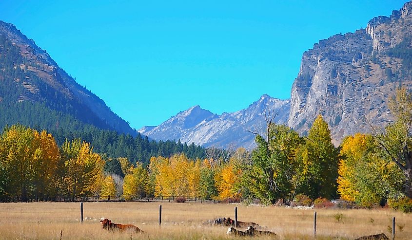 Bitterroot Mountains Blodgett Canyon in autumn