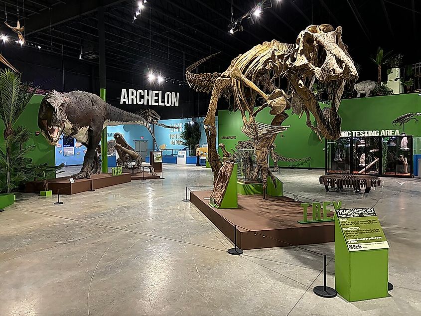 Dinosaur exhibits in the Indiana Dinosaur Museum, South Bend, Indiana.