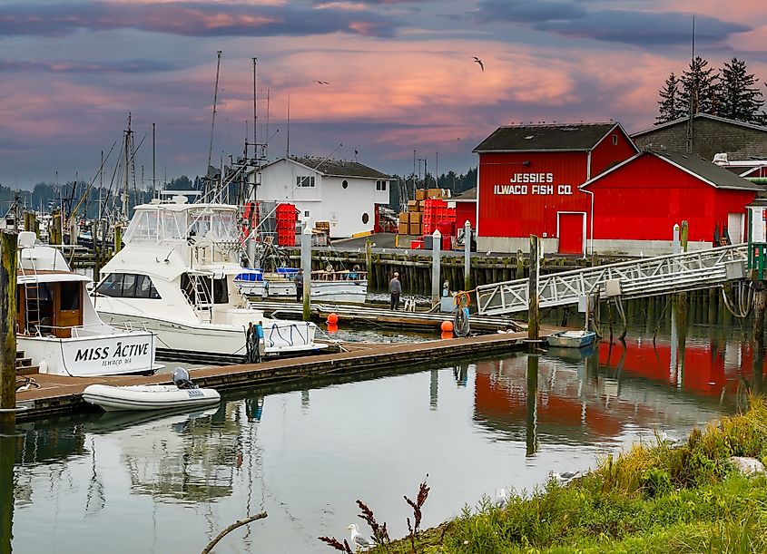 Sunset at the boat basin and harbor in Ilwaco, Washington