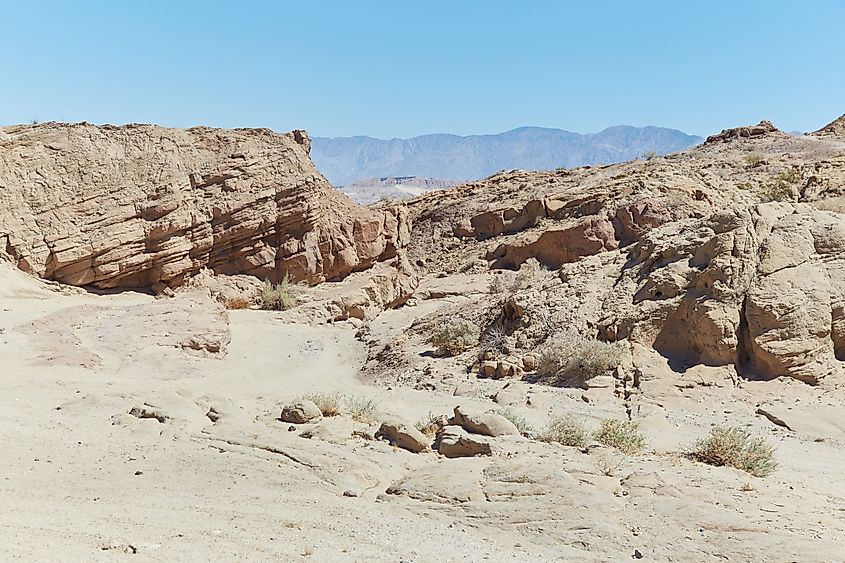 Anza-Borrego Desert State Park is California's largest State Park.