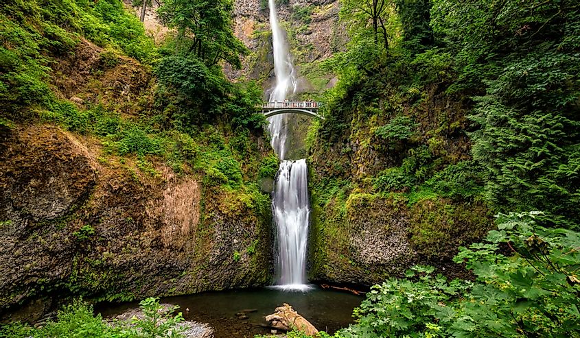 Multnomah Falls with a bridge over top of the falls and greenery surrounding