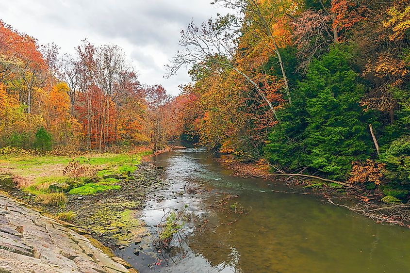 Vibrant fall foliage at Mohican State Park, Ohio.