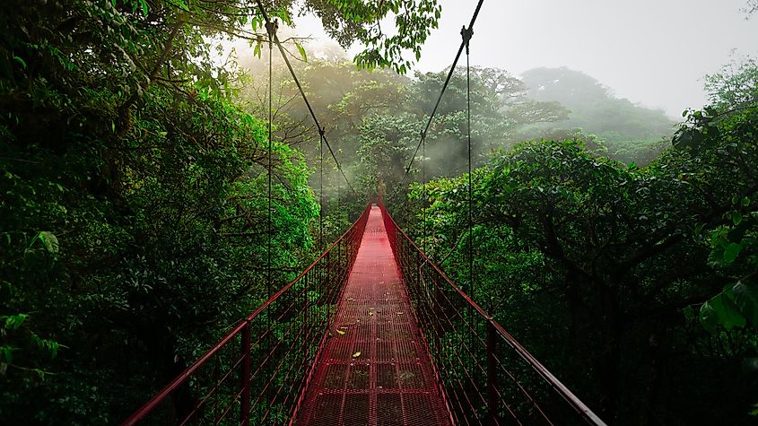 Red long suspension bridge through the foggy treetops of Monteverde Cloud Forest Nature Reserve in Costa Rica (Foto-Jagla.de via Shutterstock)