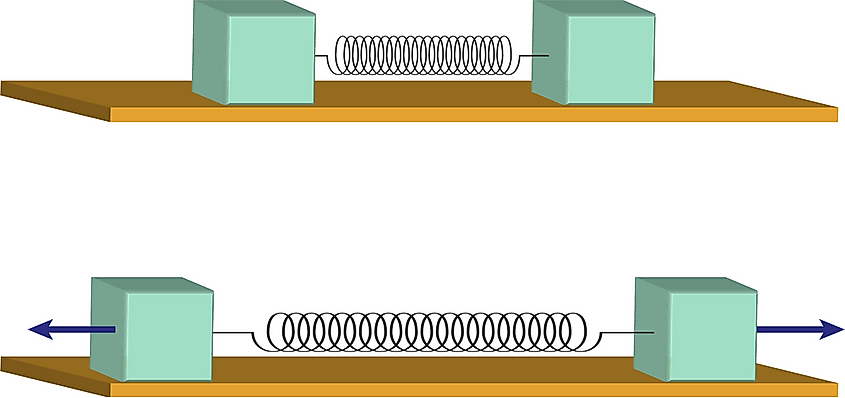 spring force, and this is the force that is created by a compressed, stretched spring on any object that is directly attached to it.