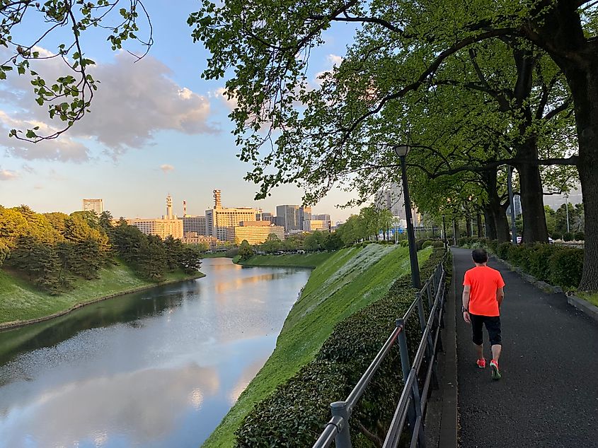 A jogger in an orange t-shirt takes a tree-lined path above a lengthy canal, leading down toward a cityscape.