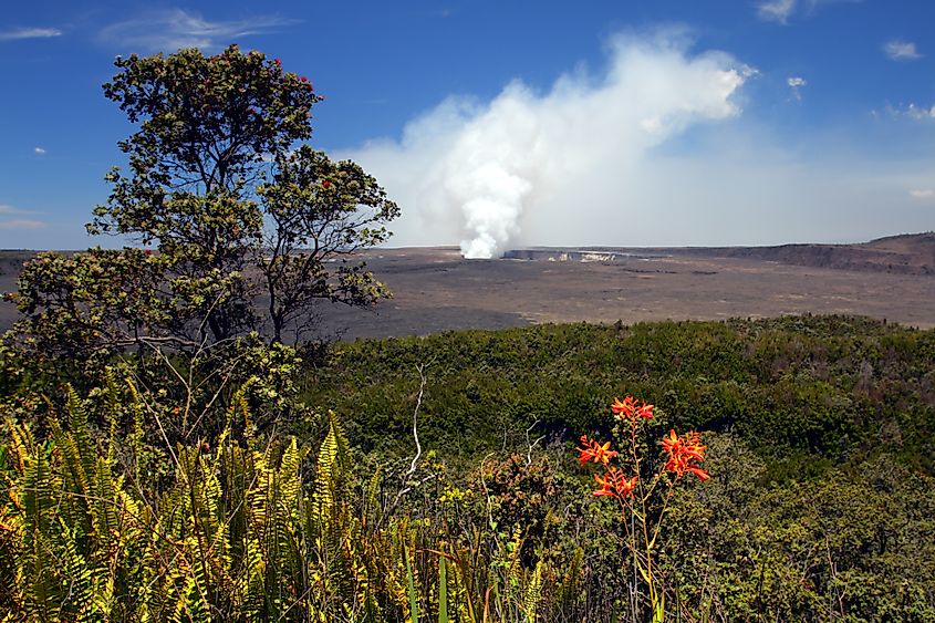 Hawaii Volcanoes National Park