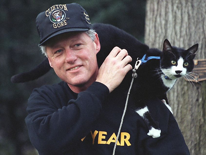 hotograph of President William Jefferson Clinton with Socks the Cat Perched on Clinton's Shoulder