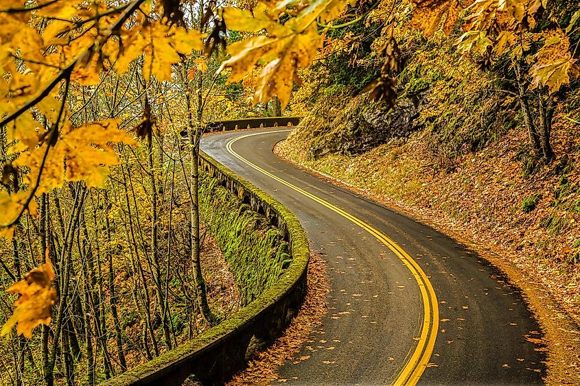 Old Columbia River Highway, Columbia River Gorge National Scenic Area, Oregon.
