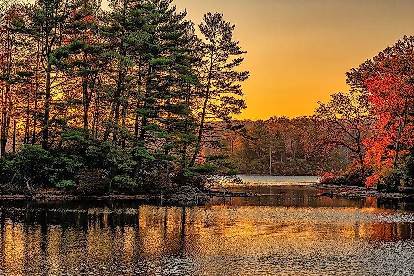 Fall colors in the Harriman State Park, New York.