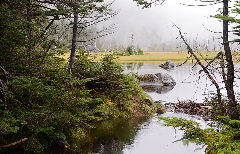 Lake Tear of the Clouds, on a foggy morning, mid September, Adirondack Mountains, New York.