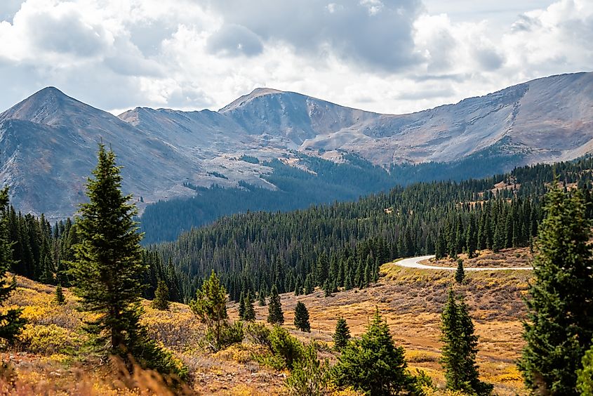 Cottonwood pass, Colorado overlook view in autumn fall with spruce aspen forest by county road 742