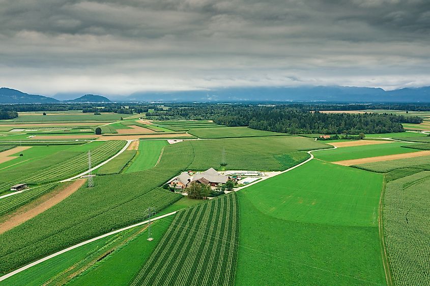 Farmland and fenced ranchland spreading across the Great Plains.