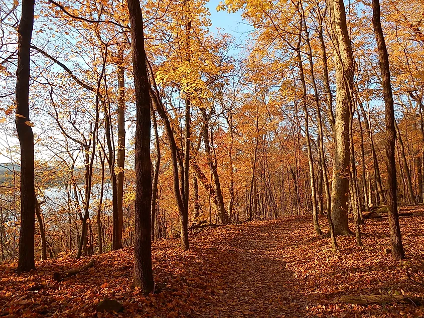 View of fall colors during autumn in the Pere Marquette State Park in Grafton, Illinois.