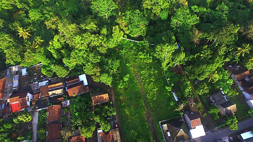 Human settlements encroaching forest