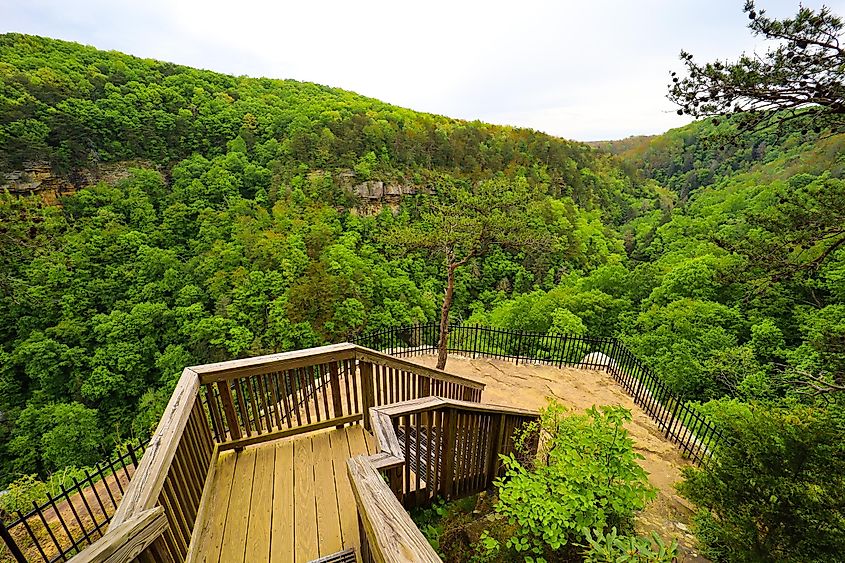 Bear Creek Overlook along the Overlook Trail in Cloudland Canyon State Park Georgia