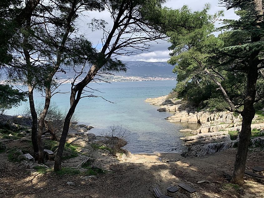 A tranquil, rocky, forested cove on the Adriatic Coast. 