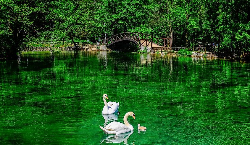 Spring of the Bosna river, park Vrelo Bosne near Sarajevo - Bosnia and Herzegovina