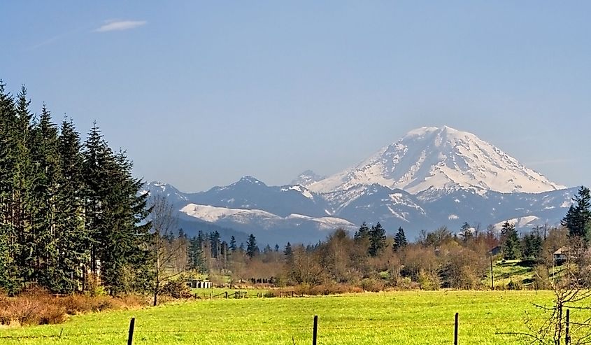 Mt. Rainier viewed from across a field in Washington State