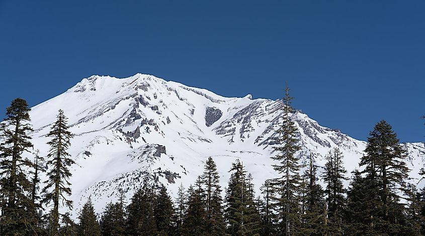 Mount Shasta