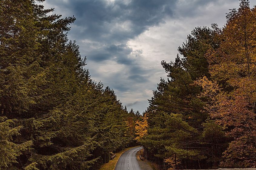 Park Loop Road travels under Champlain Road at Acadia National Park in Maine.