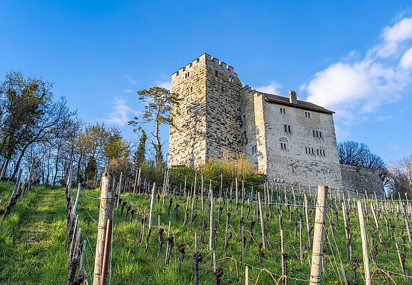 Habsburg Castle, the original seat of the Habsburg Dynasty in Switzerland.