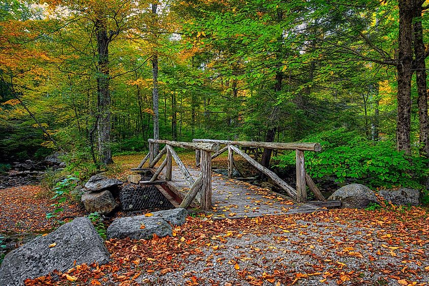 Early Autumn at Macedonia Falls State Park in Kent, Connecticut, USA.