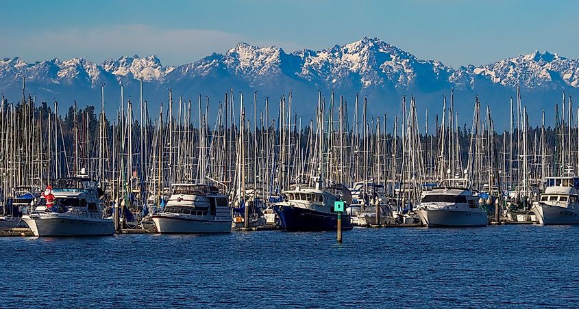 Marina at Olympia, Washington, with the Olympic Mountains in the background