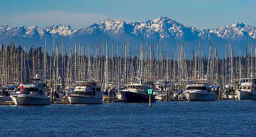 Marina at Olympia, Washington, with the Olympic Mountains in the background