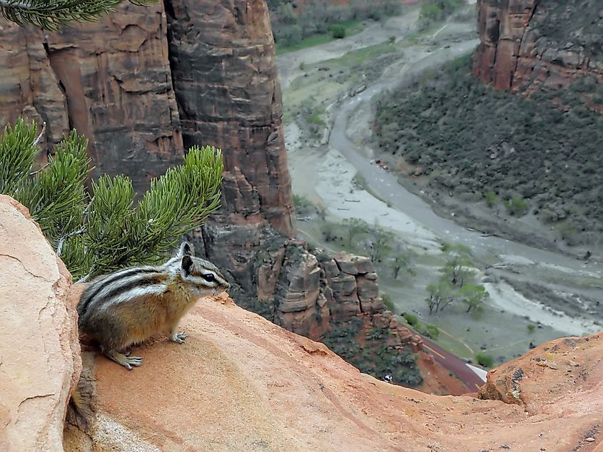 Zion National Park