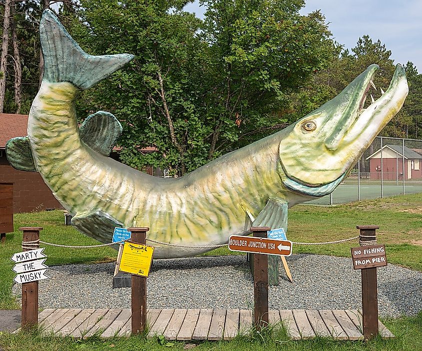 Marty the Muskie in Boulder Junction, Wisconsin.