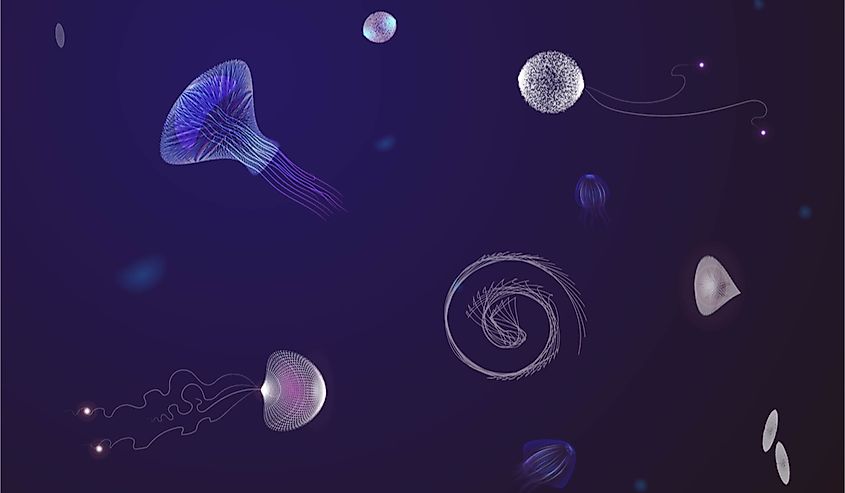 What Organisms Live In The Mariana Trench? - WorldAtlas What Organisms Live In The Mariana Trench? - WorldAtlas