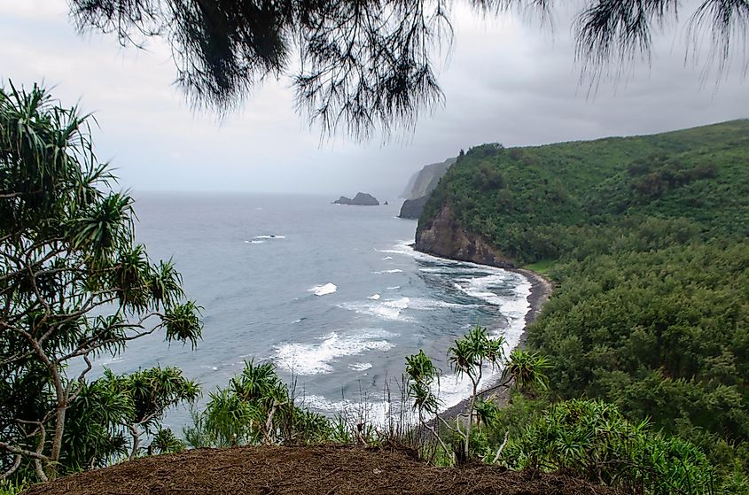 Hawi, Hawaii, on a misty morning.