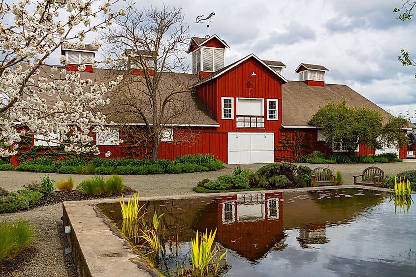 The Red Barn at in Rutherford, Napa Valley, California